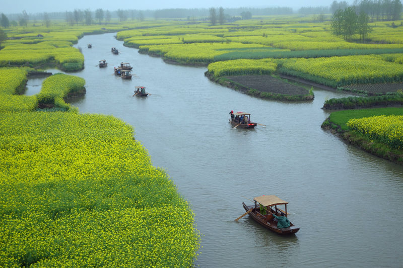 2014芳恩家居興化賞油菜花(huā)